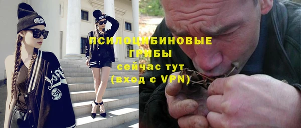 МДПВ Армянск
