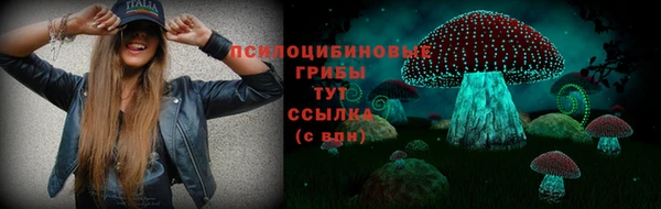 тгк Аркадак