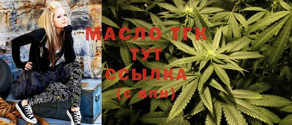 дурь Няндома
